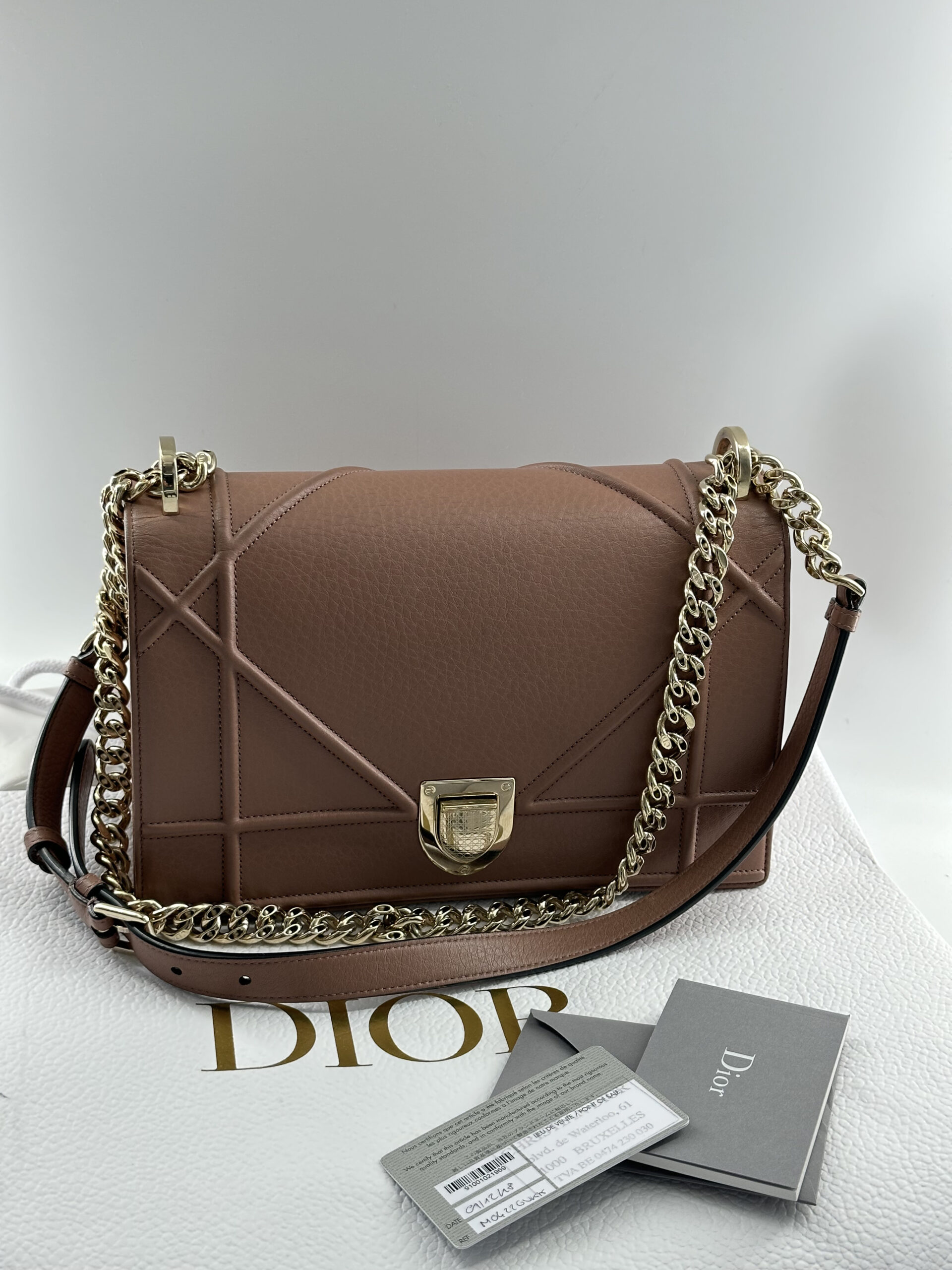 Dior Classic Calf Leather Medium Diorama Bag 1